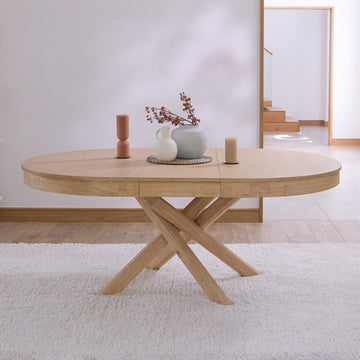 Amelia Whitewash Wood Extendable Dining Table