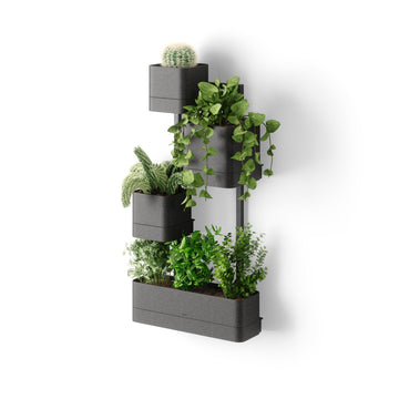 Cubiko Wall Planter